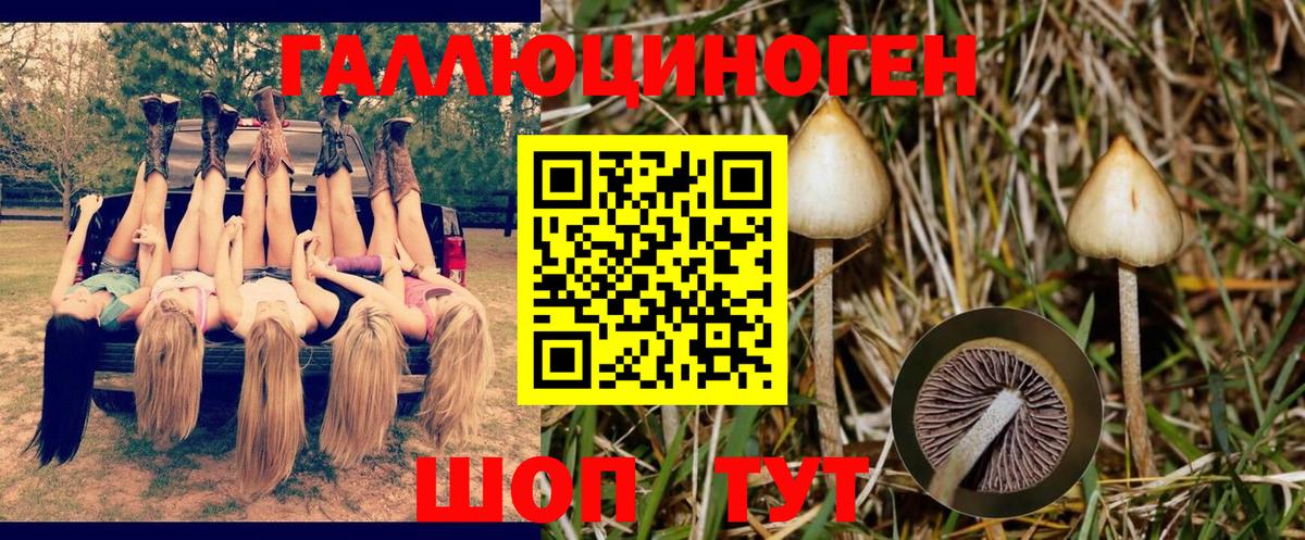 Галлюциногенные грибы прущие грибы Керчь